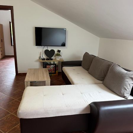 Apartment Atina Kotor Exteriör bild